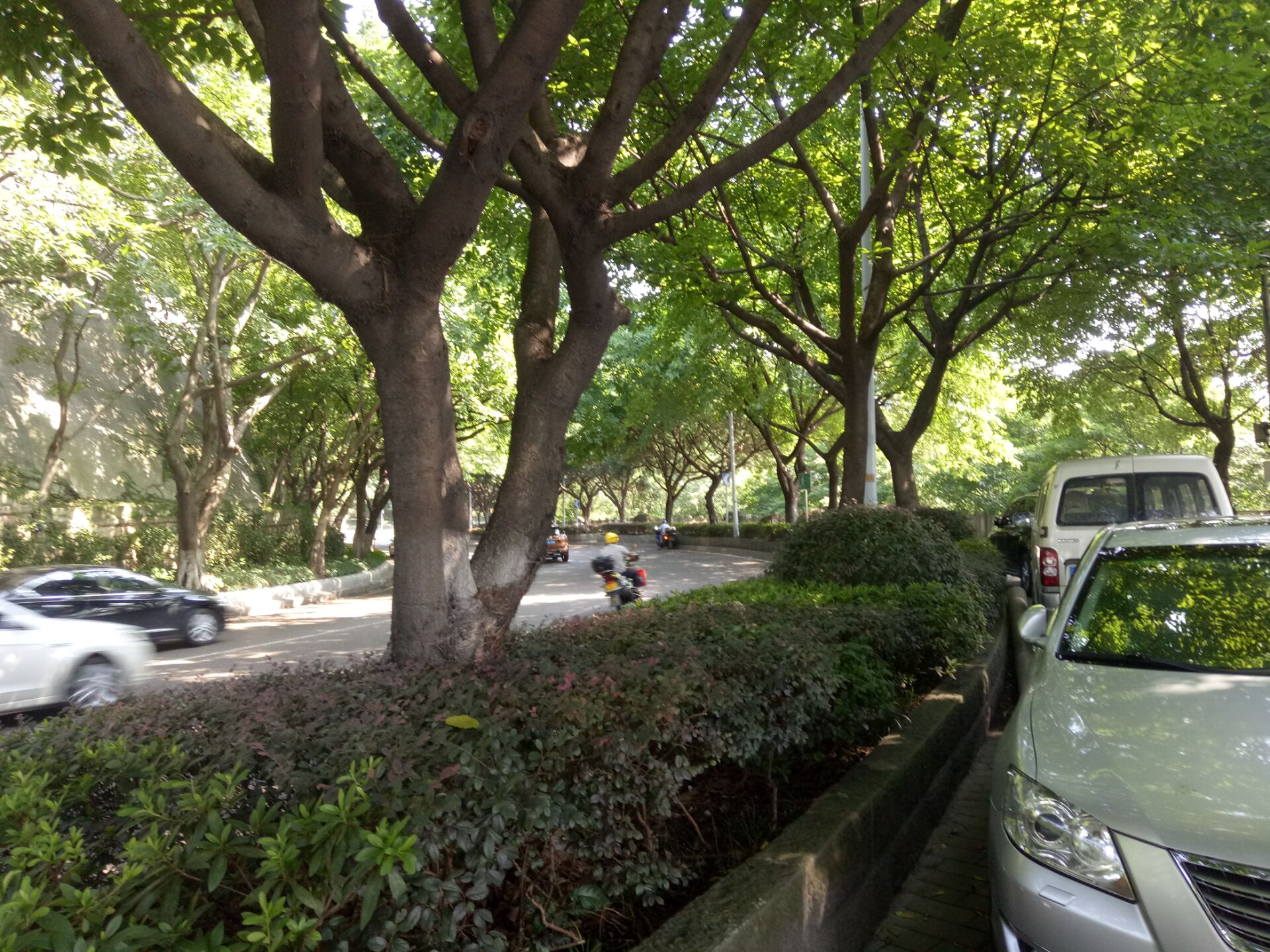 重慶市渝中區愛民老年服務中心