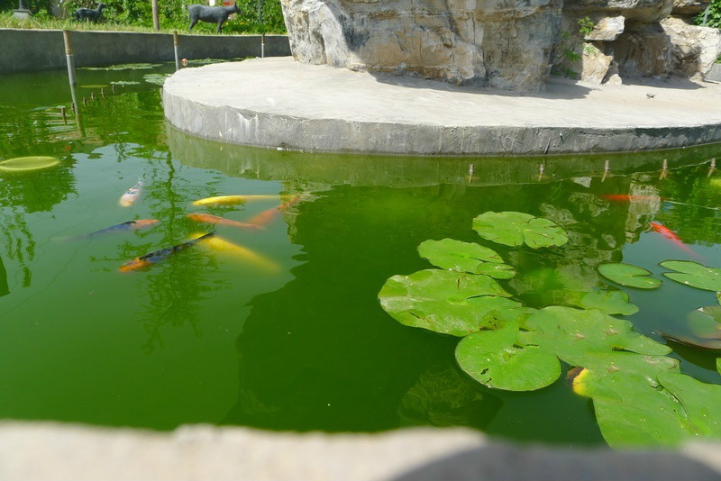 北京市豐臺(tái)區(qū)康助護(hù)養(yǎng)院