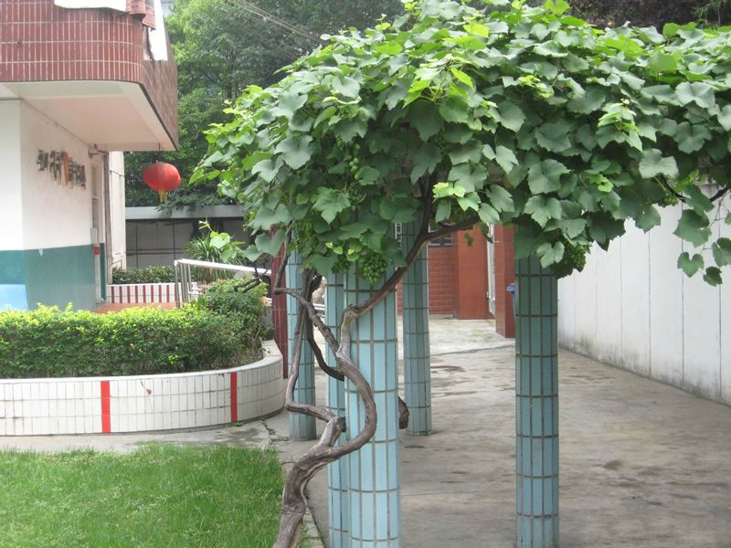 上海市寶山區泗塘承苗養老院