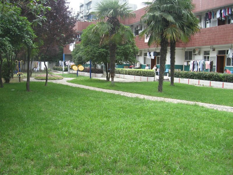 上海市寶山區泗塘承苗養老院
