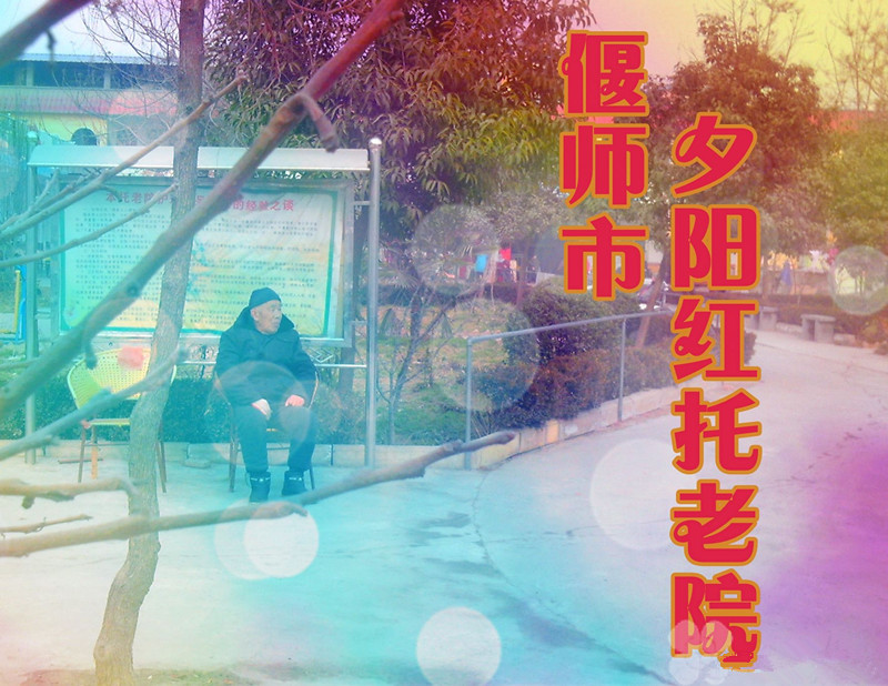 河南省洛陽市偃師市夕陽紅托老院（養老公寓）