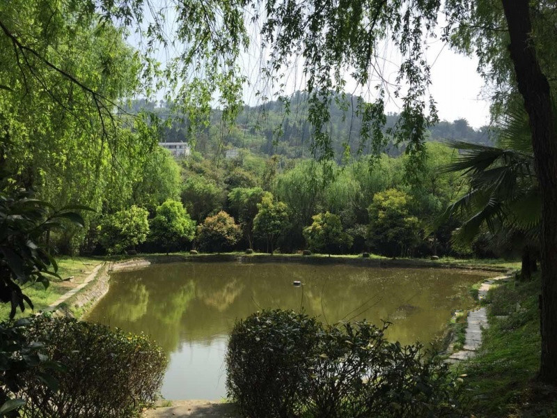 竹園頤老養生村