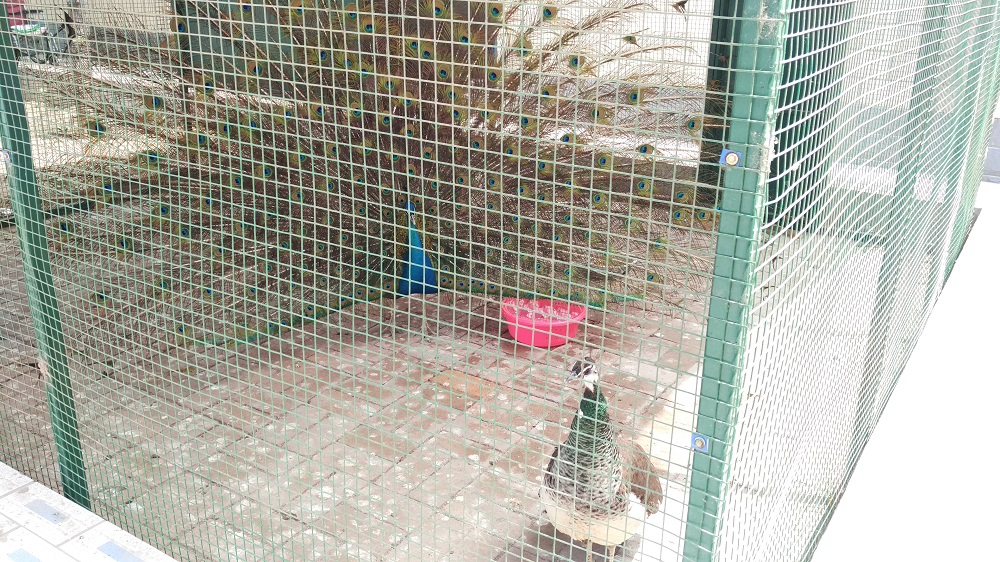 北京市大興區愛晚老年護理院