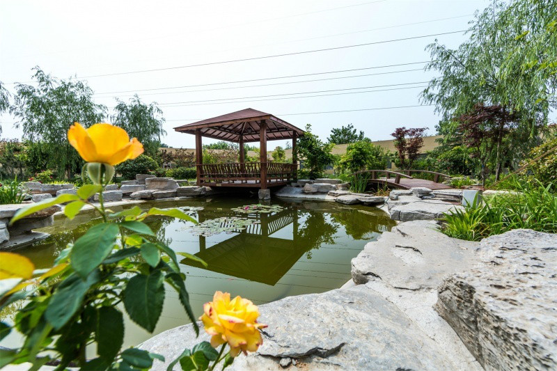 青島金大地博愛養老院