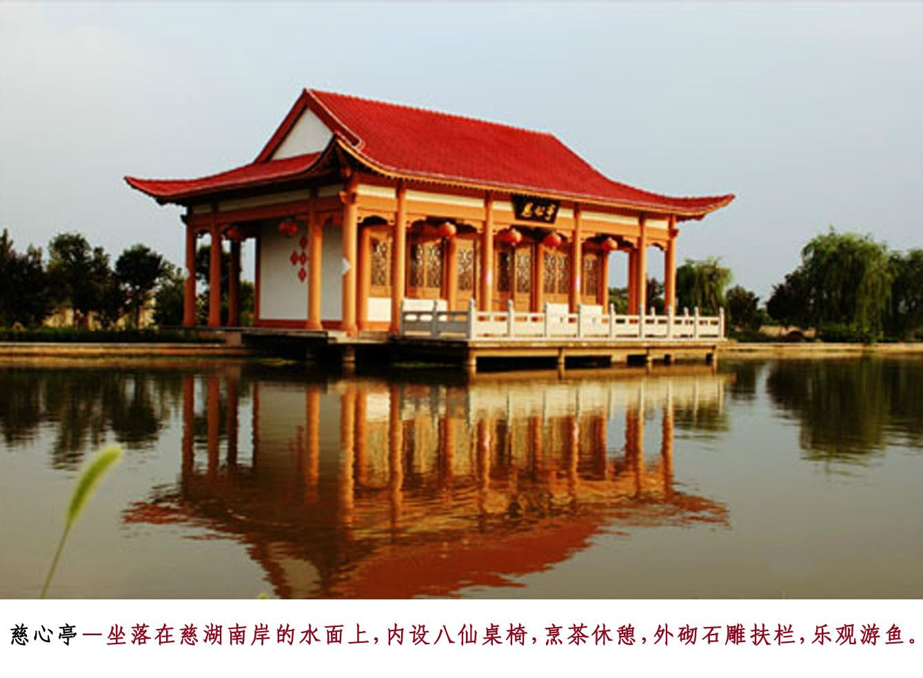 濟南平陰縣玫苑老年公寓