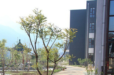 河北省寬城鶴鑫巢養老服務中心