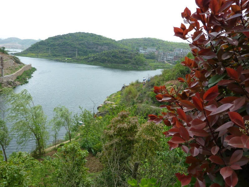 百花湖鎮花橋養老院