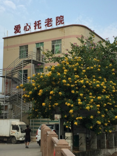 增城市愛(ài)心托老院
