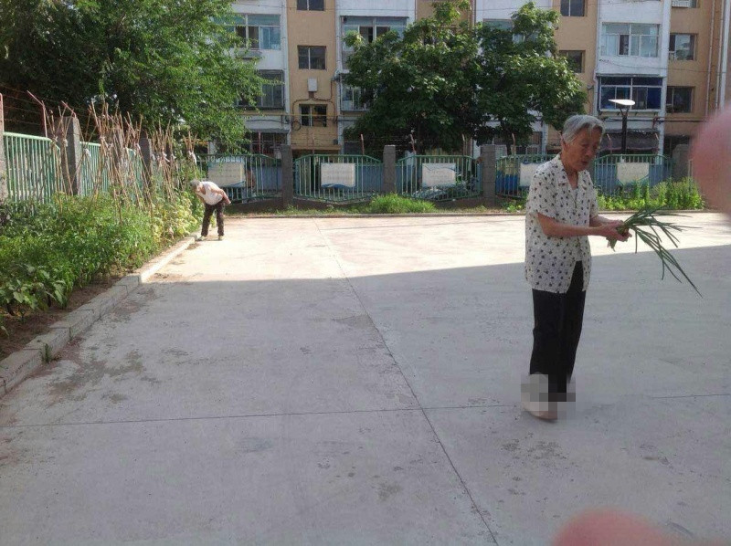 吉林市龍潭區紅蘋果養老院