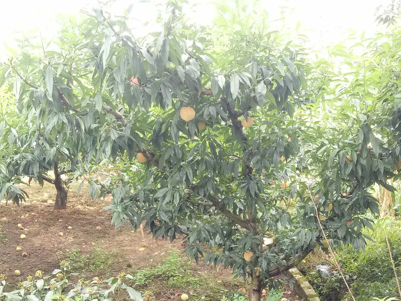 貴陽市南明區世外桃源之家老年公寓