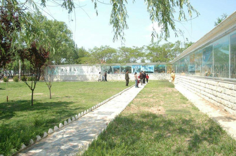 鄆城黃河養護集團