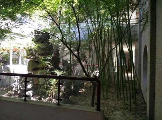 杭州市拱墅區老人公寓