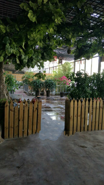 老來福生態養老院