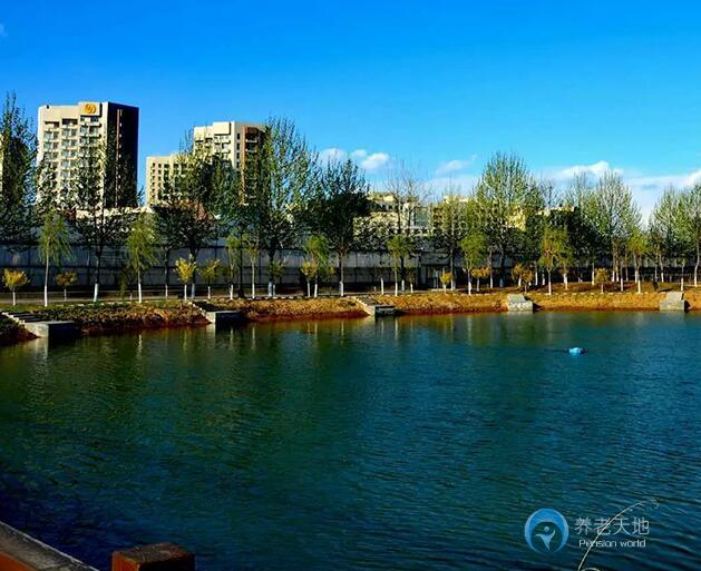 雲杉鎮宜老社區