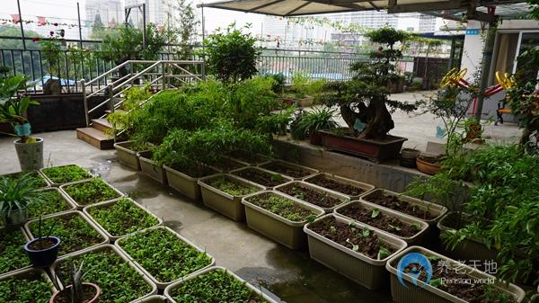 武漢市武昌區徐東社區大家庭養老院