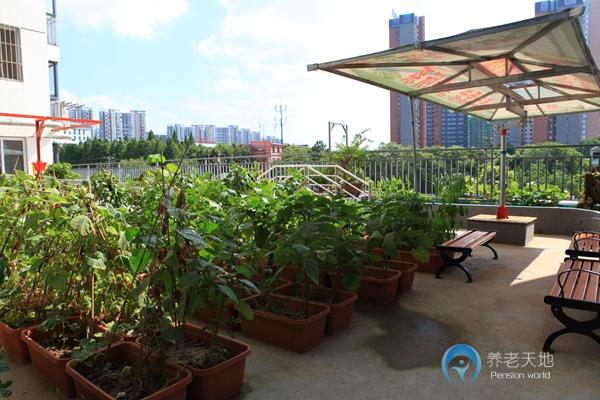 武漢市武昌區徐東社區大家庭養老院