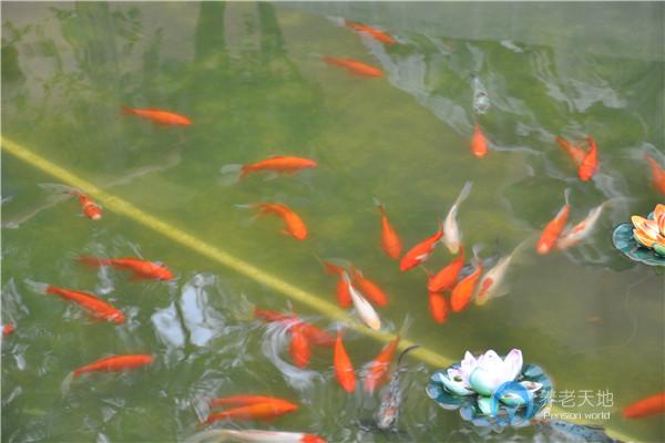 錦州市松山春玥軒養老院
