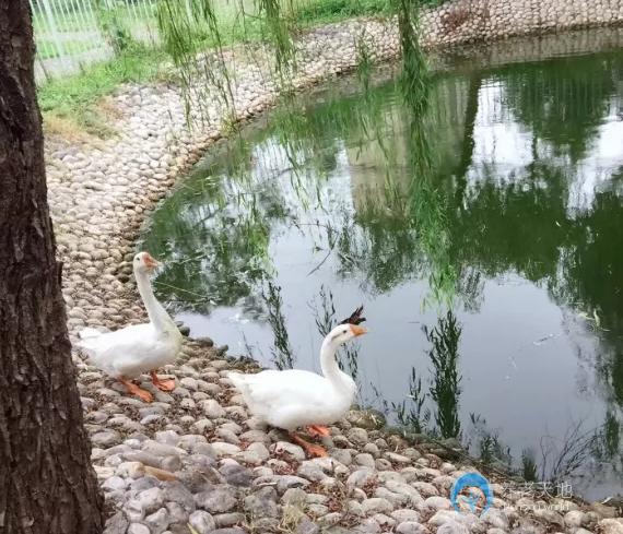 上海金福居養老院