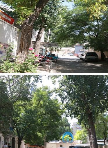 北京市朝陽區團結湖社區暮年頤樂園