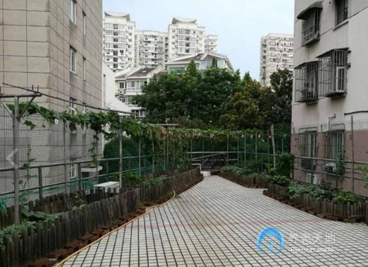 上海市徐匯區楓林街道敬老院