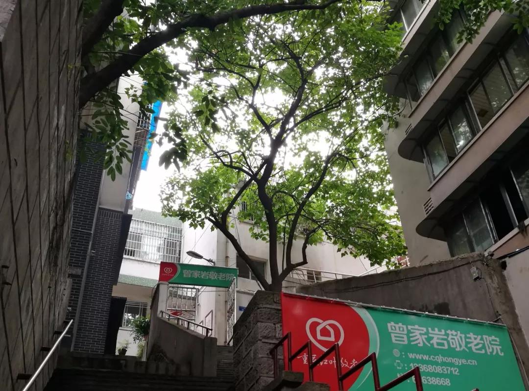惠源家曾家巖養老院