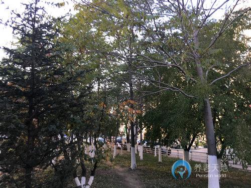 沈陽市于洪區誠博愛心養老院