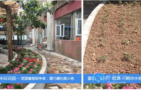 天興路社區養老服務中心