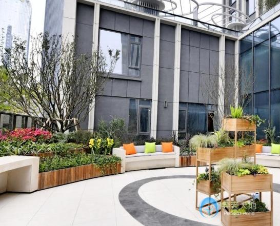 迪馬常青社成都成華區新鴻樂養社區
