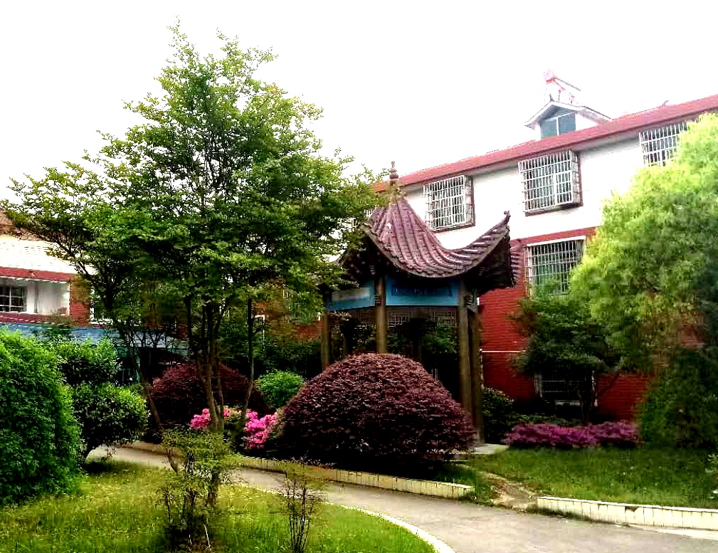 崇陽養老護理中心
