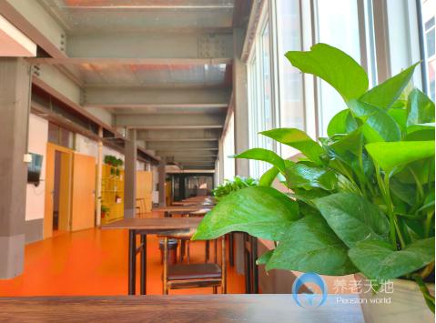 洛陽和家養老洛園