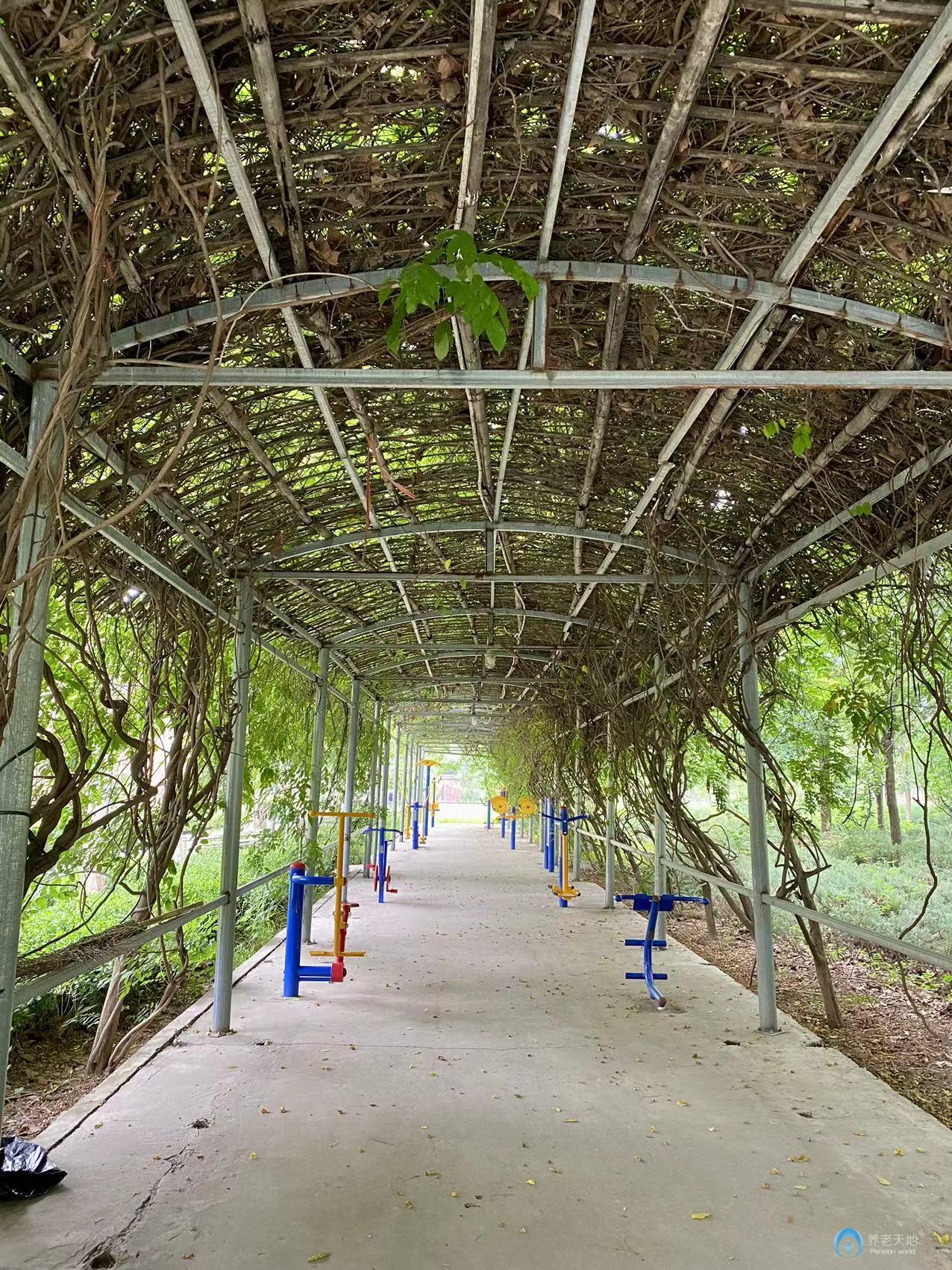 北京君和養老朝陽分院（主要接收精神疾病老人）