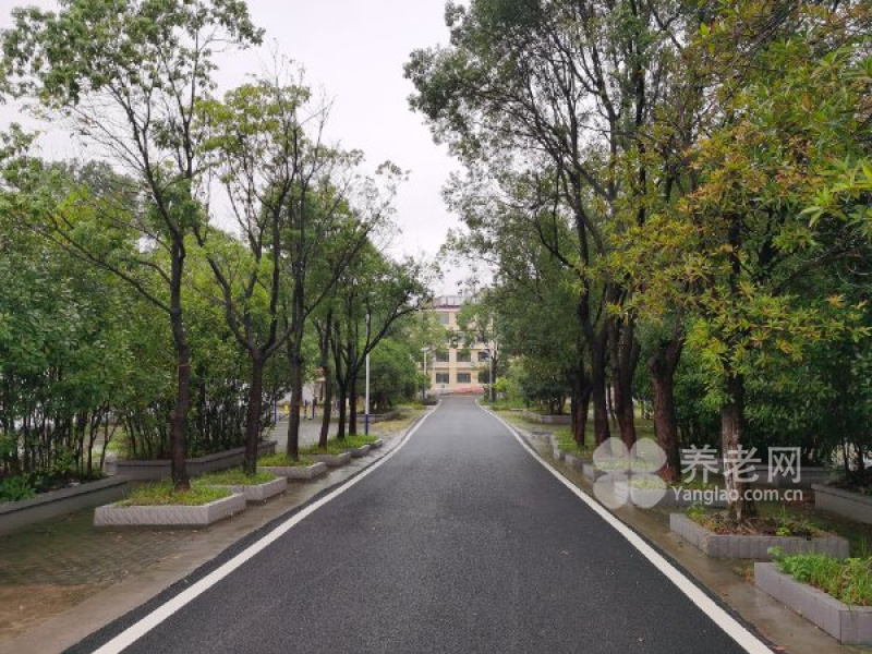 黃陂區蔡榨養老院
