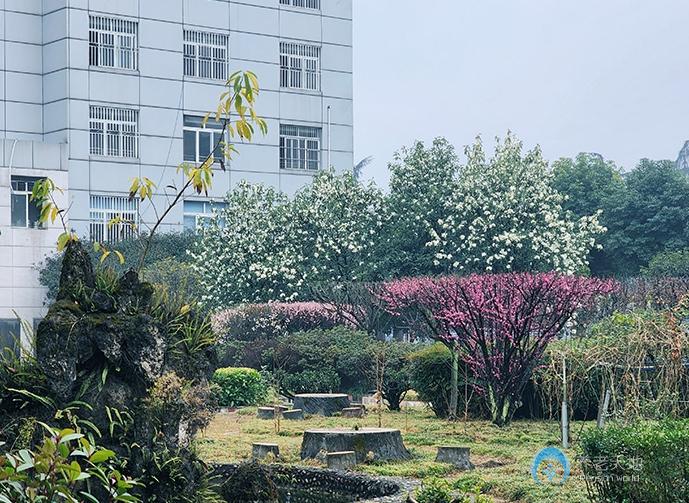 成都愛慈蓮養老院