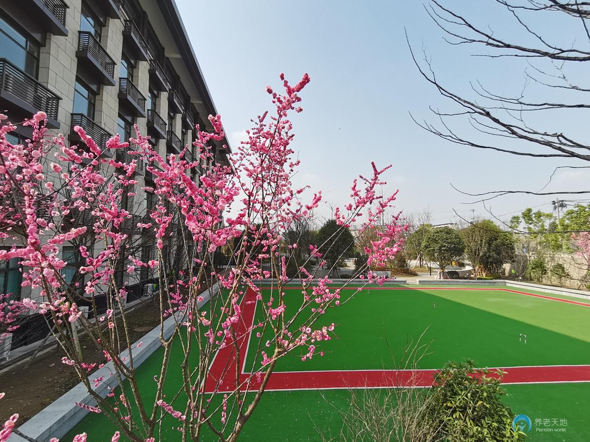 重慶國投健康長者公寓（沙坪壩區社會福利護養中心）