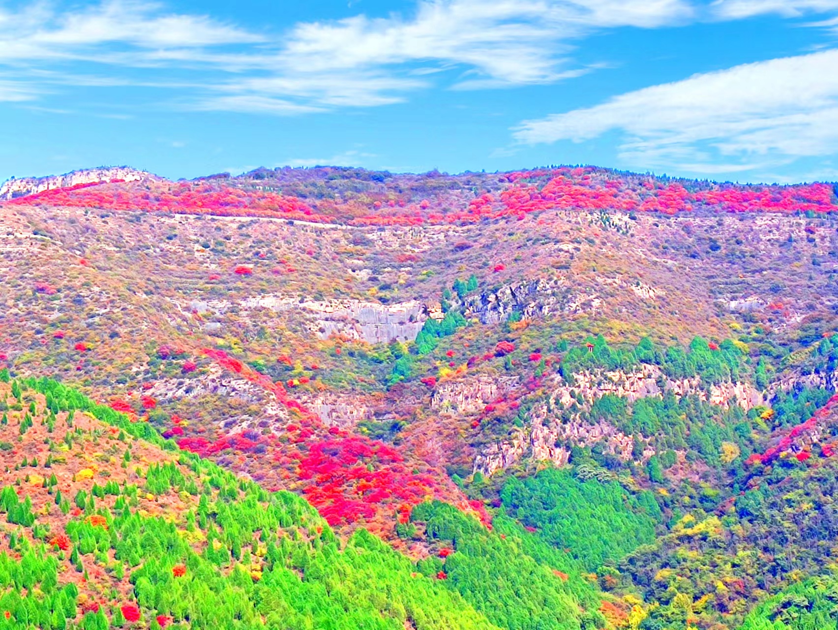 濟南市慧慈中醫康養中心